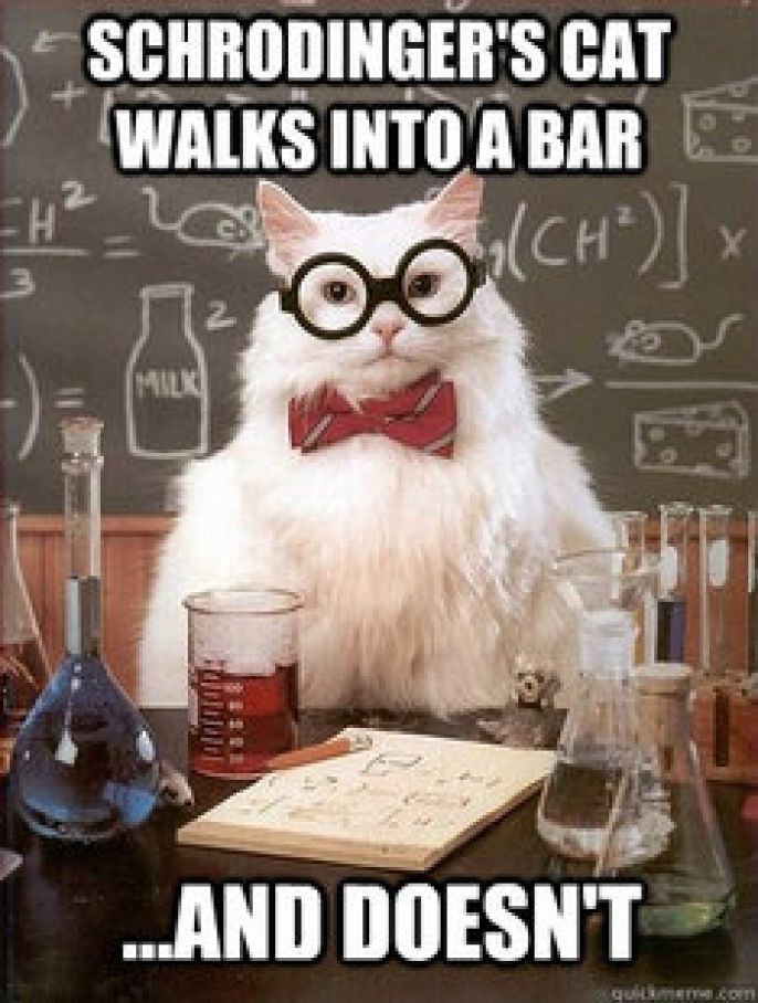 Chemistry Cat Meme Is Scientific And Hilarious 