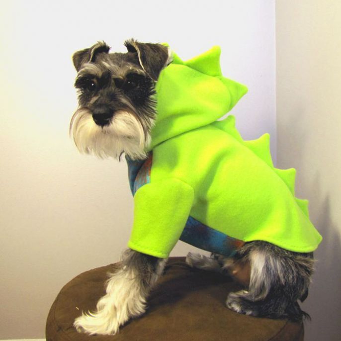 Dino Doggies! Dressing Cute Dogs Like Dinosaurs 