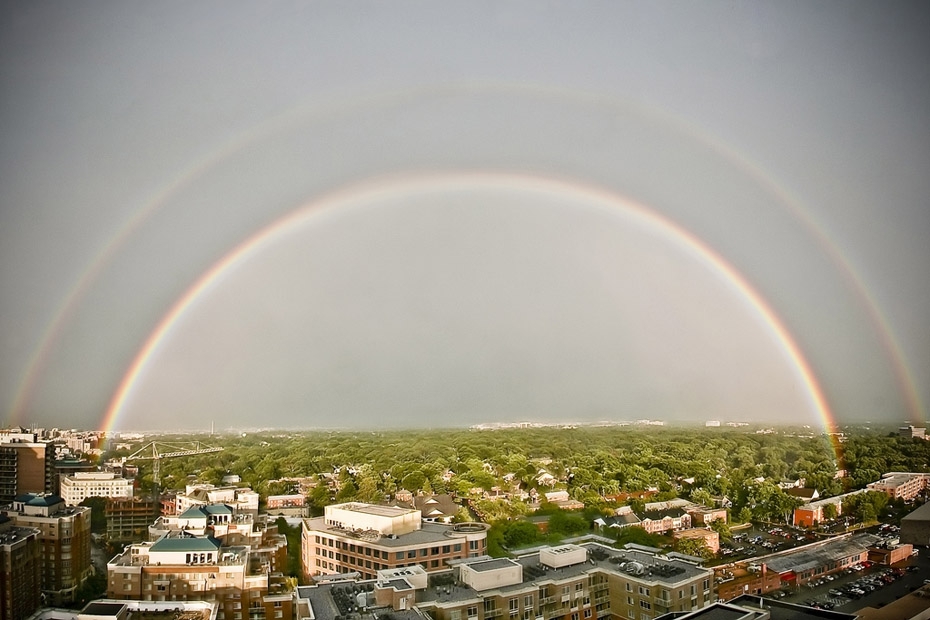 It's Raining Cats and Dogs! Almost. 15 natural phenomena to blow your mind.  