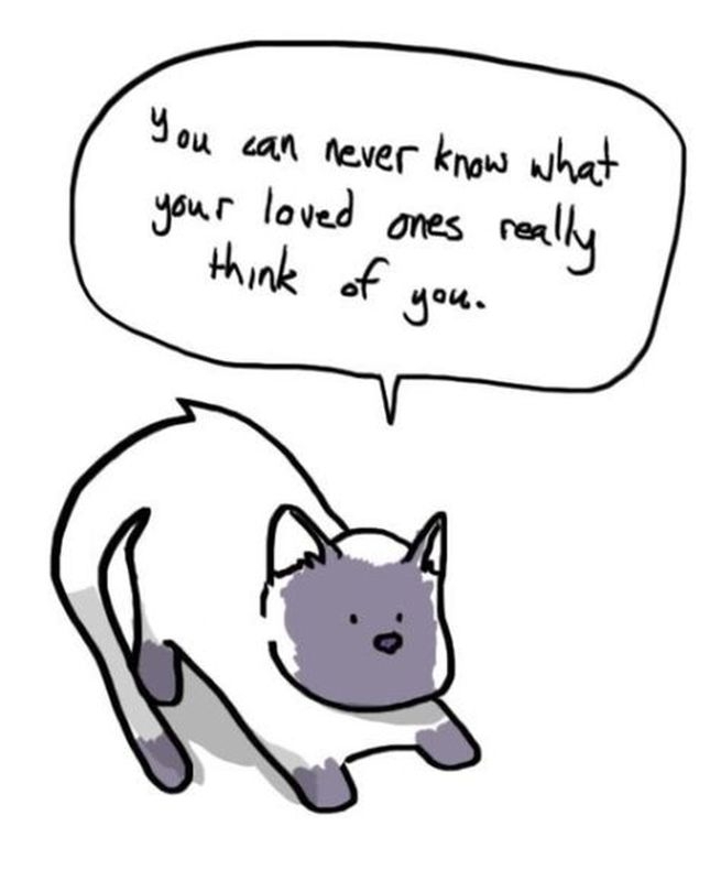 Hard Truths from Soft Cats