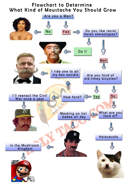 How to choose a mustache