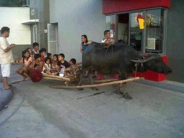 Weird Drive-Thru Customers