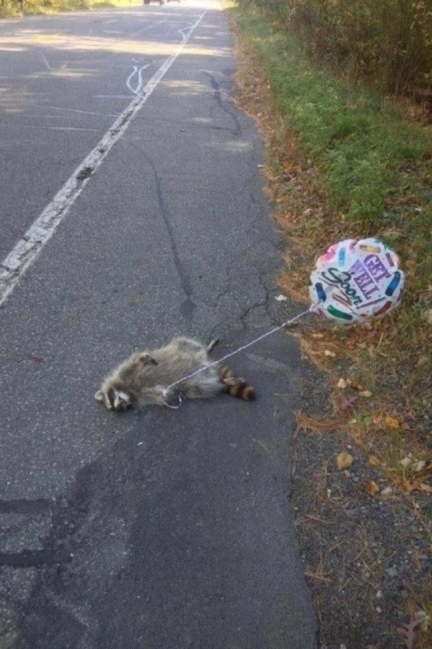 Get Well Soon Roadkill