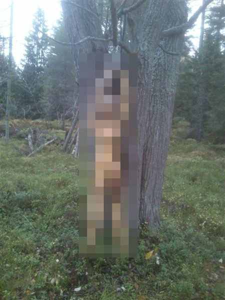 Swedish Hunters Found Something Terrible