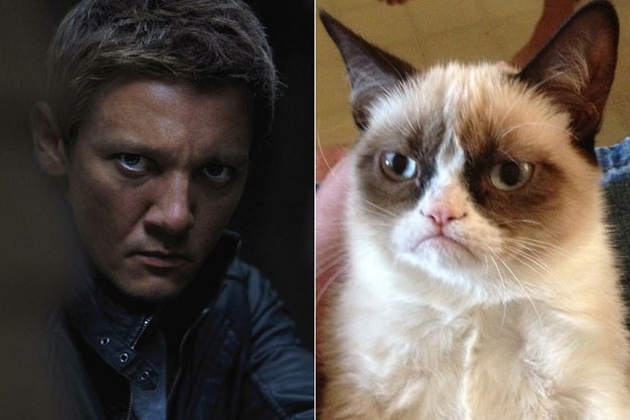 The Best ‘Grumpy Cat’ Look-Alikes