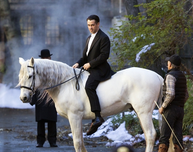 Colin Farrell Looking Glorious On A White Stallion