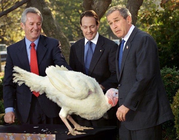 Awkward Moments Between Turkeys and Presidents