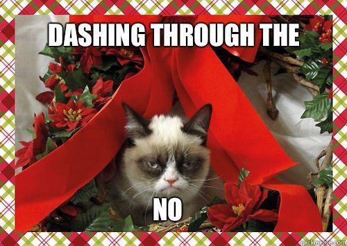 Best of Grumpy Cat 2012