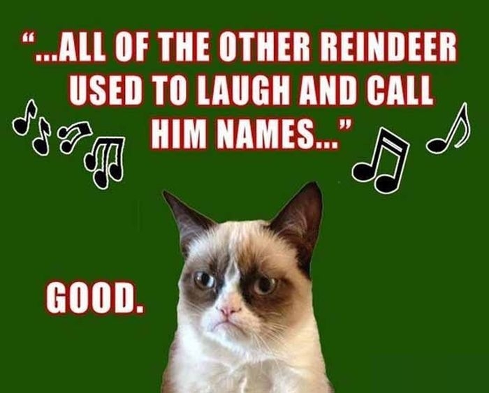 Grumpy Cat Christmas 