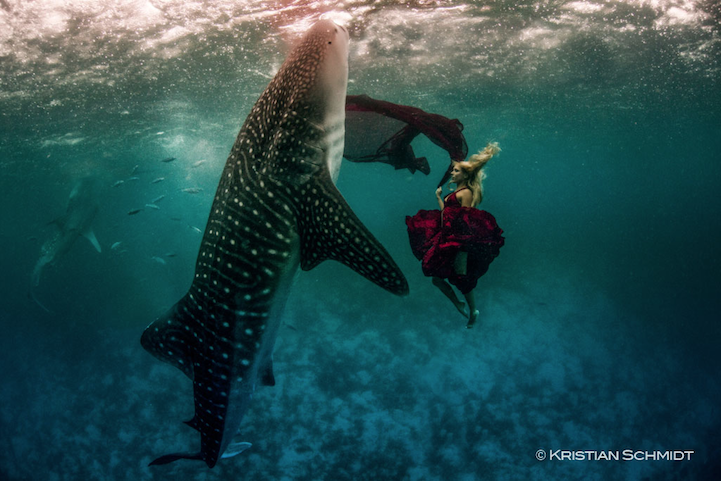 Spectacular Underwater Whale Shark Fashion Shoot