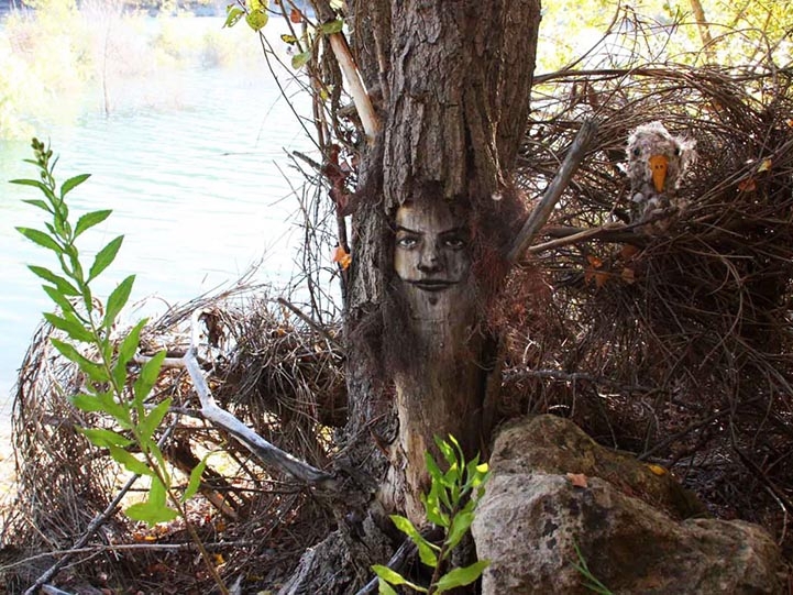 Expressive Faces Emerge From Rotting Tree Trunks 