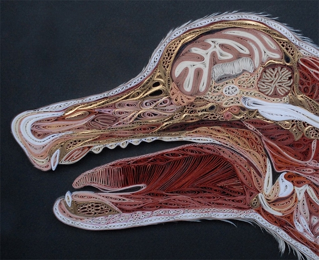Anatomical Paper Filigree Art by Lisa Nilsson