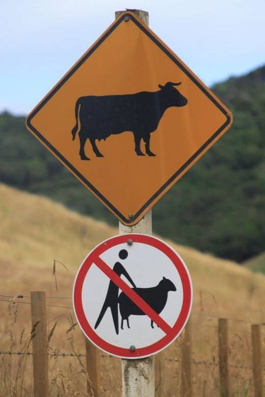 Hilarious Road Signs From Around The World!
