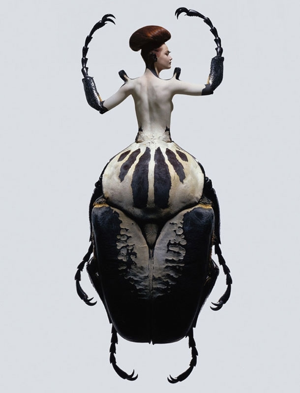 Stylish Models Twisted Into Creepy Crawly Insects