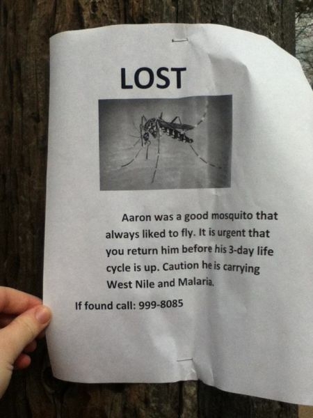 Funny Lost &amp; Found Signs