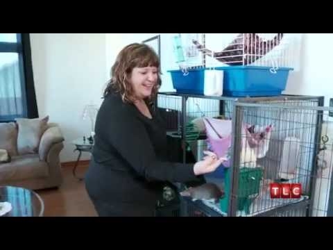 Obsessed Woman Leaves Husband For Her 19 Rats (video)