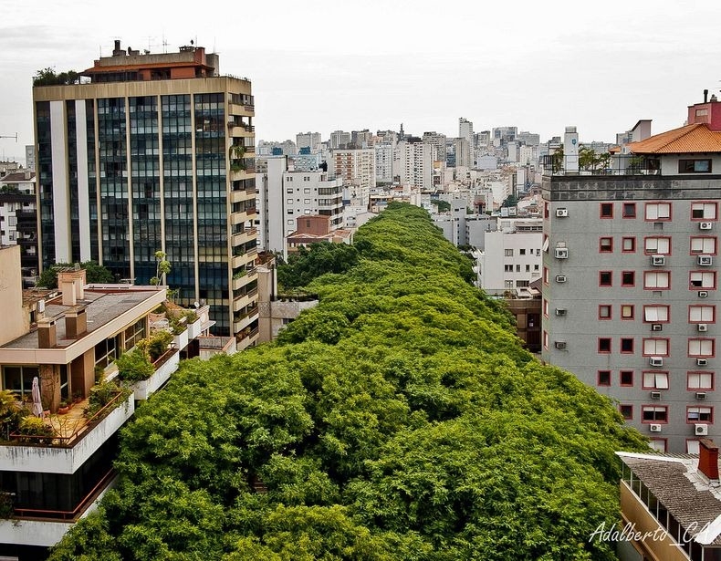 Rua Goncalo de Carvalho: Most Beautiful Street in the World