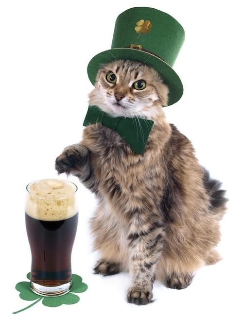 These Cats Are Ready For St. Patrick's Day