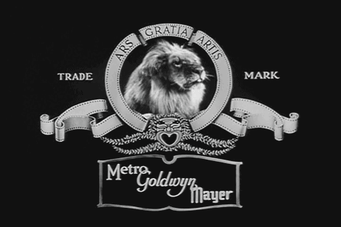 Improved Versions Of The MGM Lion