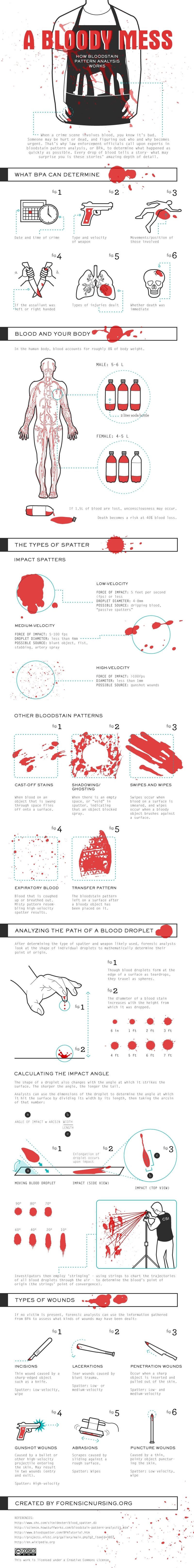 Infographic: How Bloodstain Pattern Analysis Works 