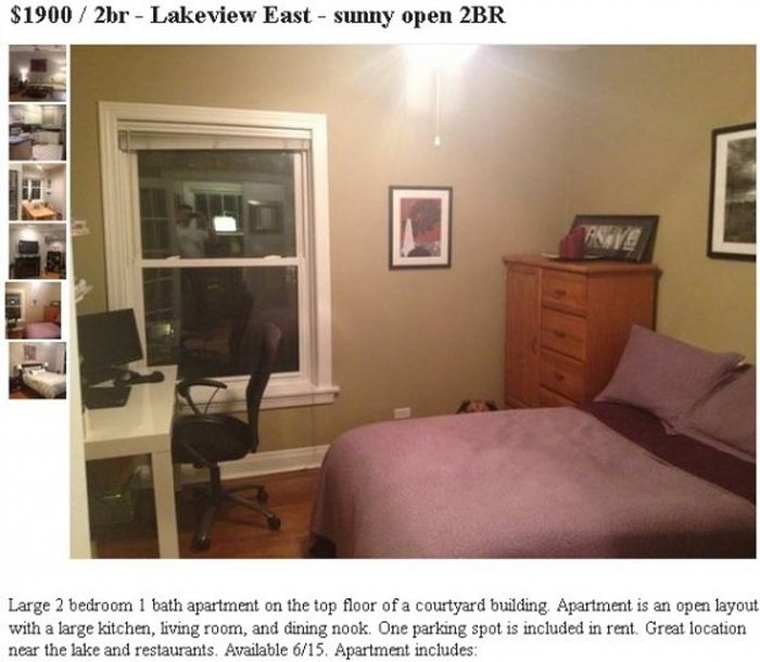 Owners Use Dog Photobombs to Sell Apartment On Craigslist 