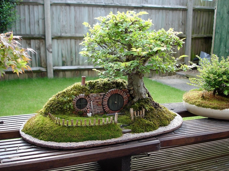 A Bonsai Bilbo Baggins Hobbit Home By Chris Guise