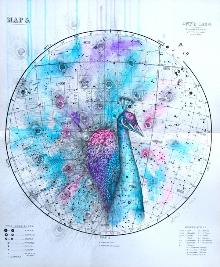 Fluorescent Feathered Birds Perch Inside Celestial Maps By Louise McNaught