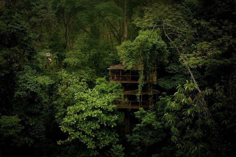 This Couple Built A Real-Life Ewok Village in Costa Rica 