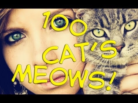 100 cat's meows