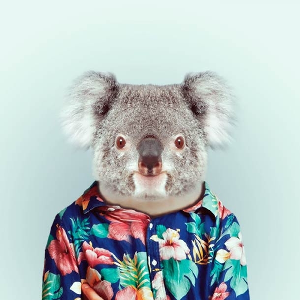 Funny Zoo Portraits by Yago Partal 