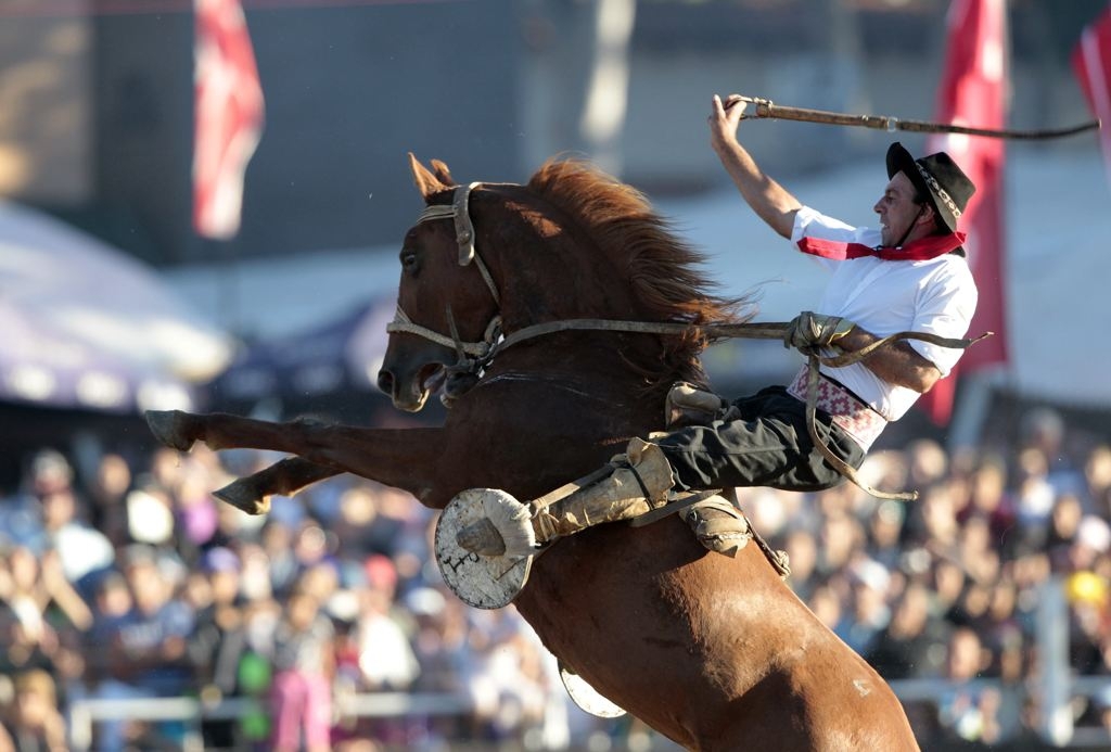 Ride'em Cowboy! Gauchos From All Over Visit Montevideo To Ride In Criolla Week