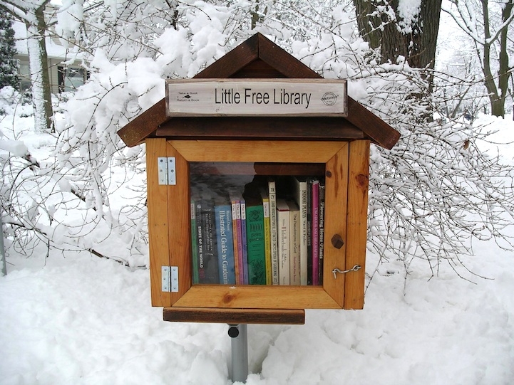 Make a Free Little Library for the Neighborhood 