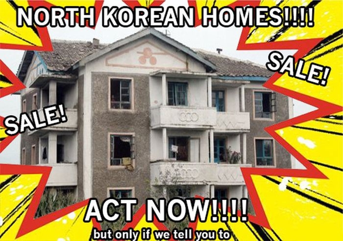 Amazing North Korean Homes
