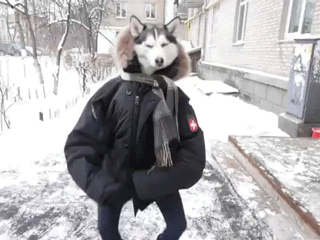 Meanwhile in Russia Gifs