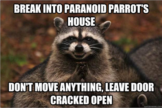 Best of the Evil Plotting Raccoon Meme
