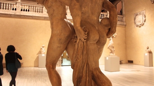 Metropolitan Museum of Butts