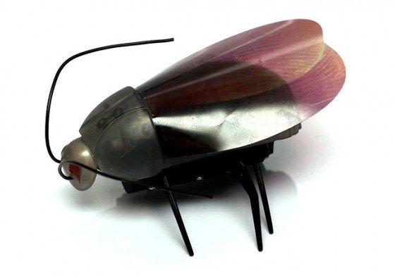 Now You Can Make Insects Fly From Your iPhone 