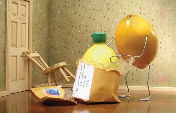 The Humorous Art of Bent Objects by Terry Border