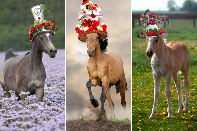 10 Horses Wearing Kentucky Derby Hats