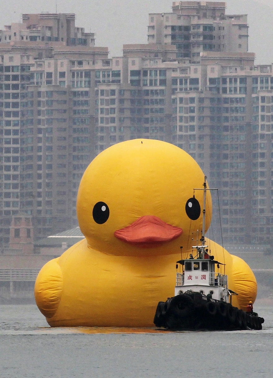 World’s Largest Rubber Duck Comes to Hong Kong 