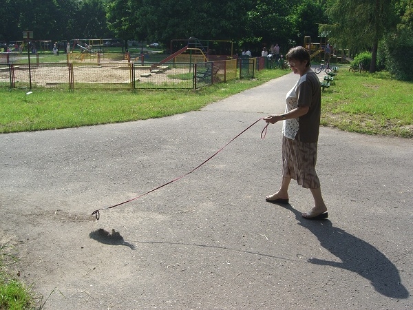 Hilarious Photos of People Walking Invisible Dogs