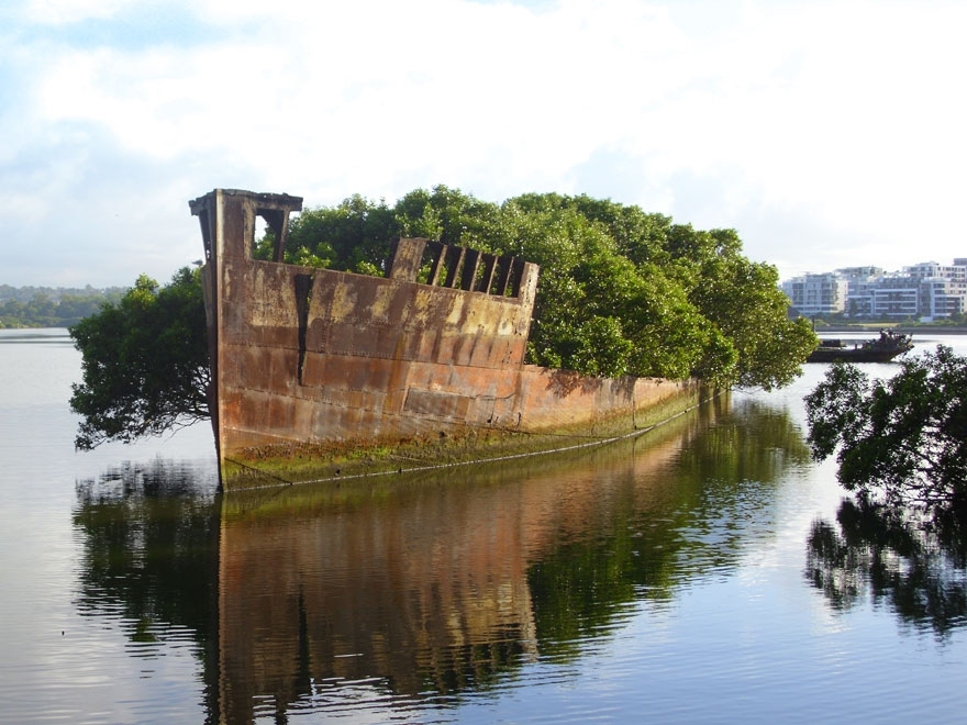 102-Year-Old Ship in Sydney Became A Floating Forest 