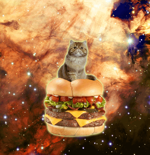 Running Low on Intergalactic Felines? Cats in Space Will Help