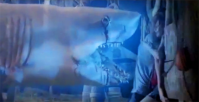 How Much SyFy Sharks Can You Handle? Here's A Look At 'Ghost Shark'.