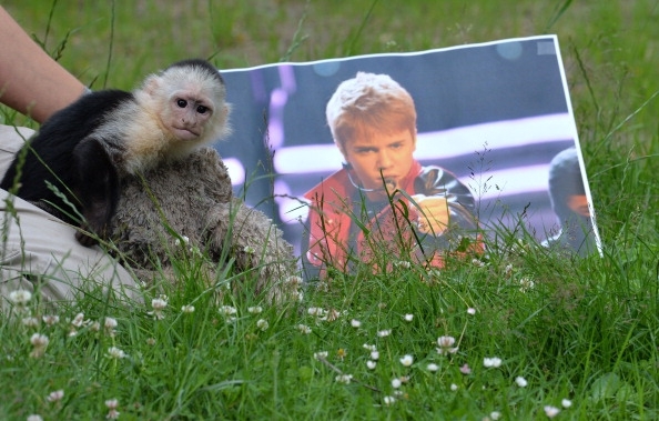 Justin Bieber's Monkey Finally Has A New Home