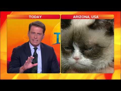 Reporter Can't Handle Grumpy Cat