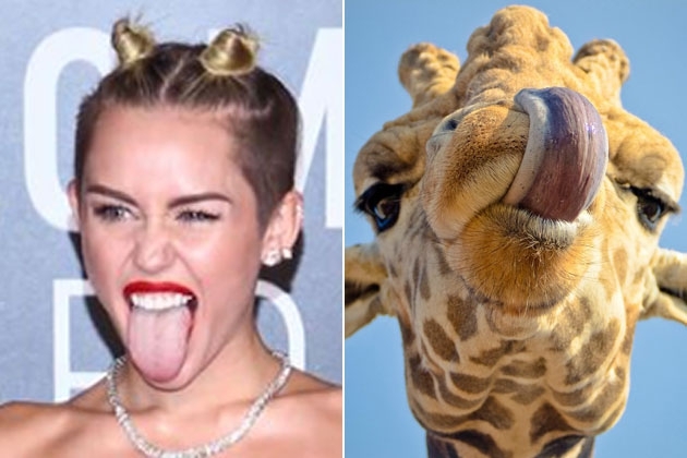 Miley Cyrus Looked Just Like a Giraffe at the VMAs