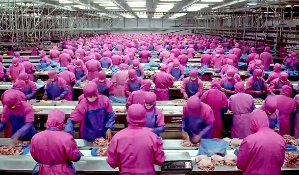 Shocking Video Reveals Terrifying Reality Of Overconsumption