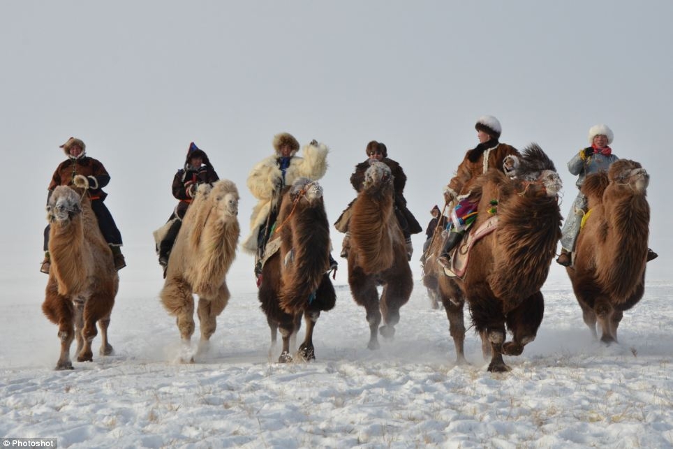 The Naadam in Hulun Buir