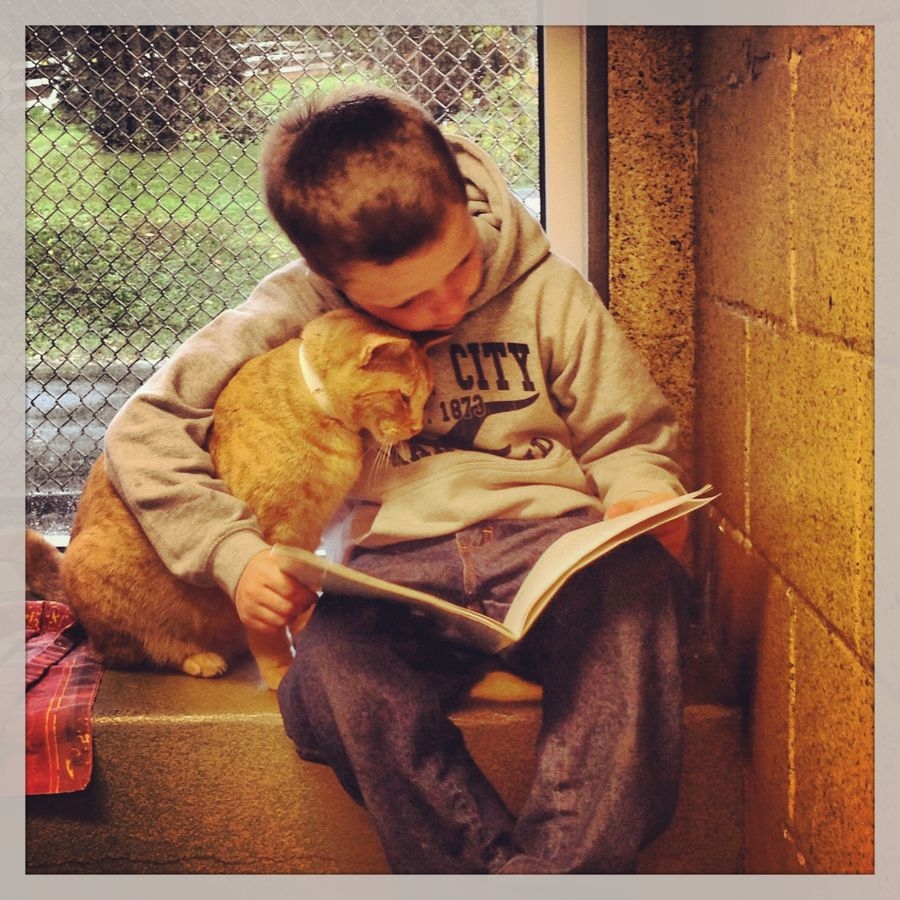 Kids who read for cats